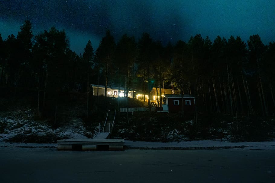 house at forest, nature, outdoors, tree, plant, night, light HD wallpaper