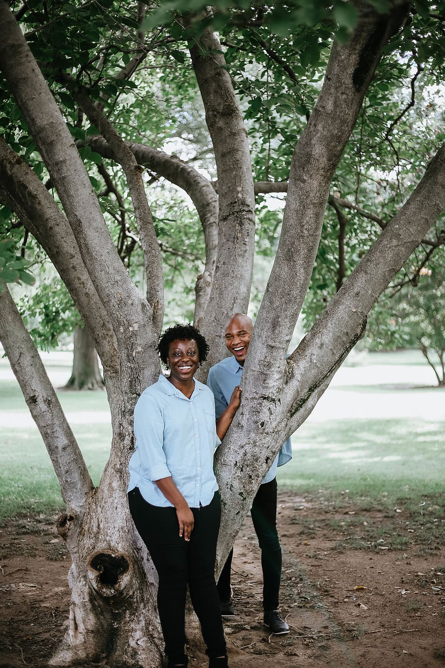 Couple Under A Tree, casual, colors, daylight, daytime, environment HD wallpaper