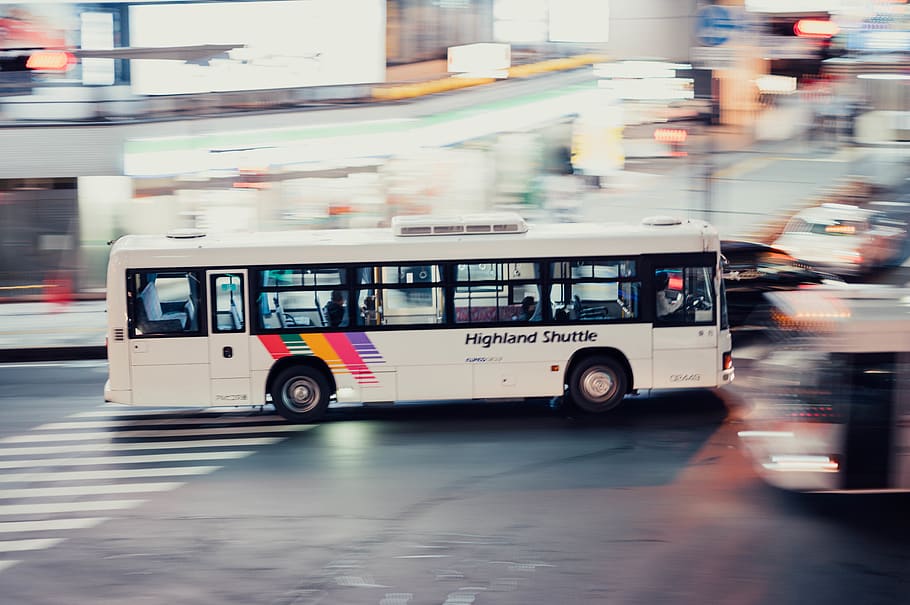 white bus, vehicle, transportation, person, human, tour bus, minibus