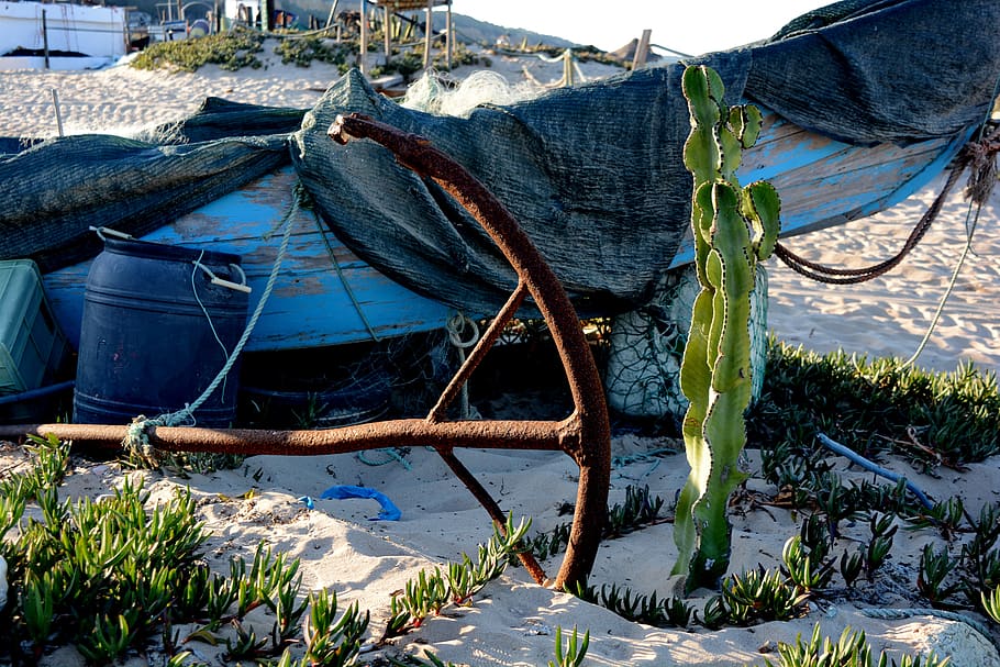 iron, cactus, blue, water, nautical vessel, nature, day, mode of transportation HD wallpaper