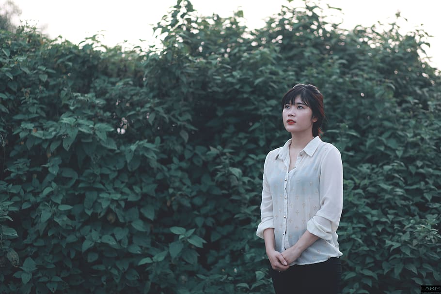 vietnam, tp. pleiku, plant, young adult, young women, one person HD wallpaper
