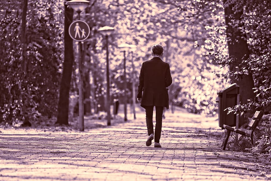 man, person, walking, motion, movement, lane, tree, pavement HD wallpaper