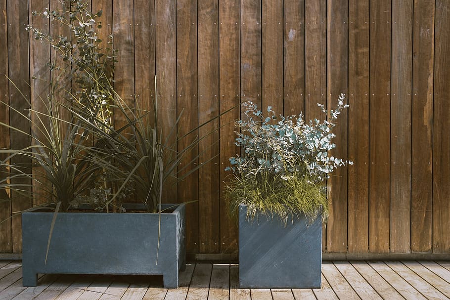 Green Plants in Gray Pot Beside Brown Wooden Wall, architecture