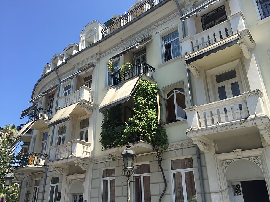 balcony, ivy, building, building exterior, architecture, window HD wallpaper