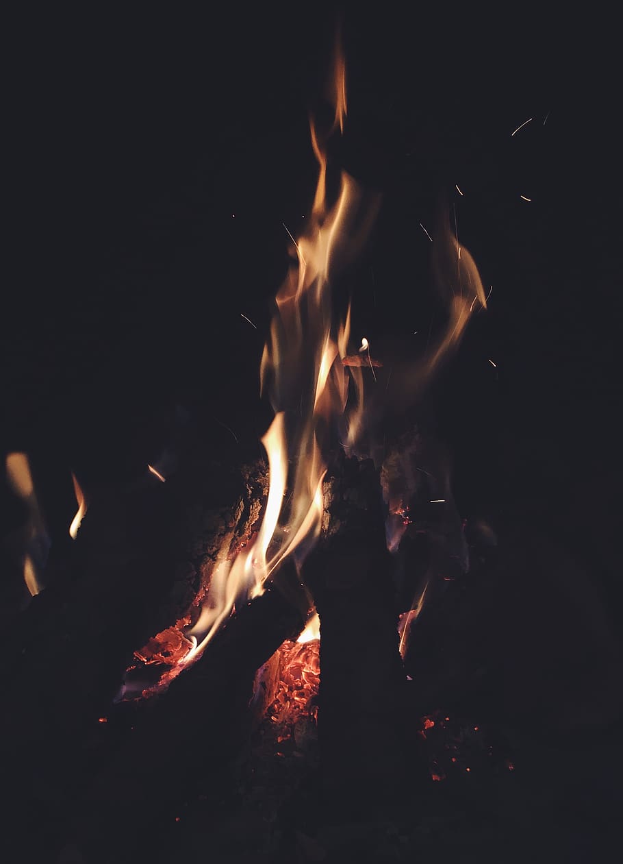 forest, darkness, stock, fire, fire - natural phenomenon, burning HD wallpaper