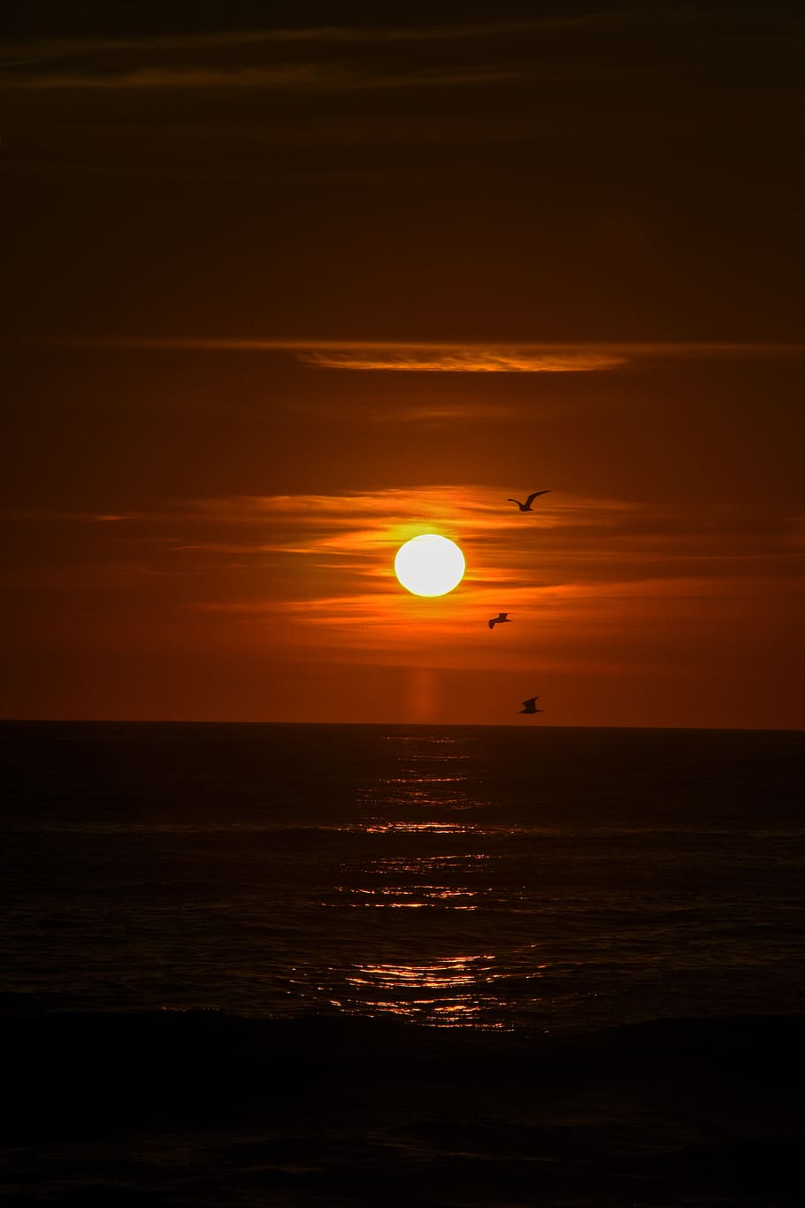 sunset, sky, landscape, horizon, light, darkness, red, sea HD wallpaper