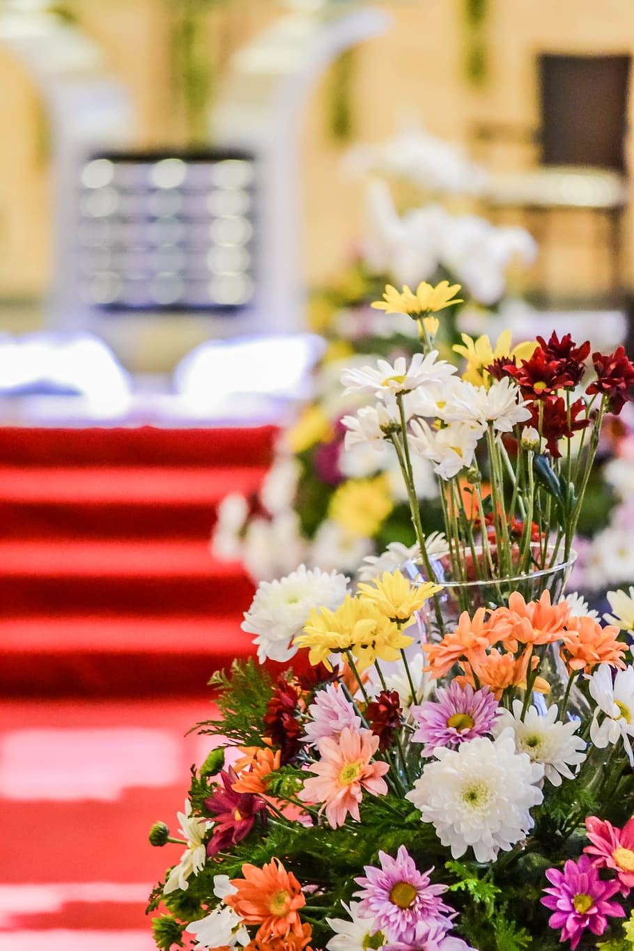 flower, wedding, flowering plant, freshness, vulnerability HD wallpaper