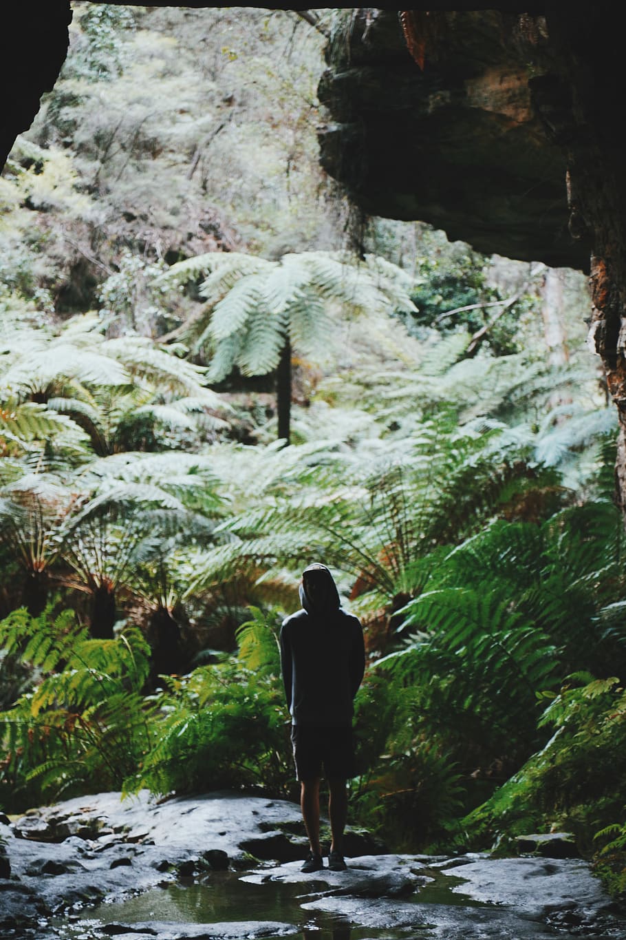 australium, forest, tunnel, cave, rear view, real people, one person HD wallpaper