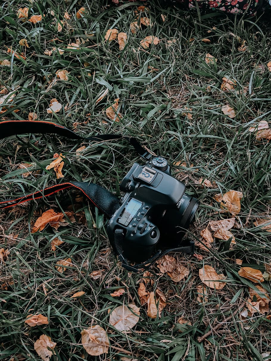 Dslr Camera on Grass, device, digital camera, dried leaves, dry leaves HD wallpaper