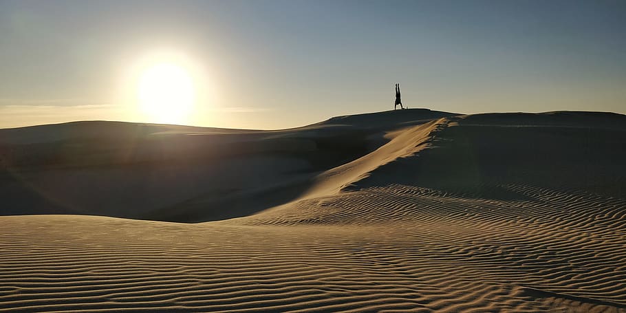 handstand, sun, acrobatics, coast, sand, dunes, nature, landscape HD wallpaper