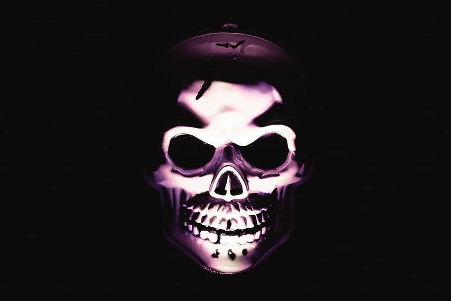 gray skull wallpaper, spooky, human skeleton, halloween, studio shot HD wallpaper