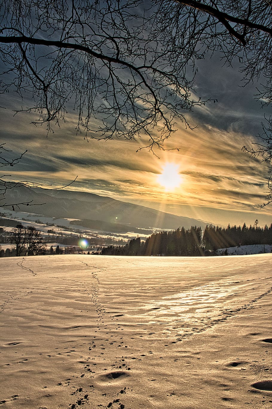 wintry, winter, snow, cold, nature, snowy, winter magic, trees HD wallpaper