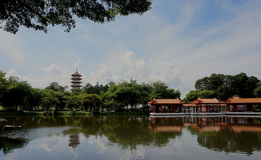 singapore, built structure, reflection, architecture, tree HD wallpaper