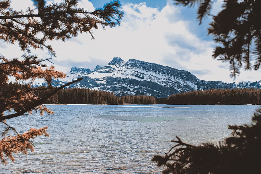 Body of Water Beside Brown Trees Near Mountain, clouds, daylight HD wallpaper