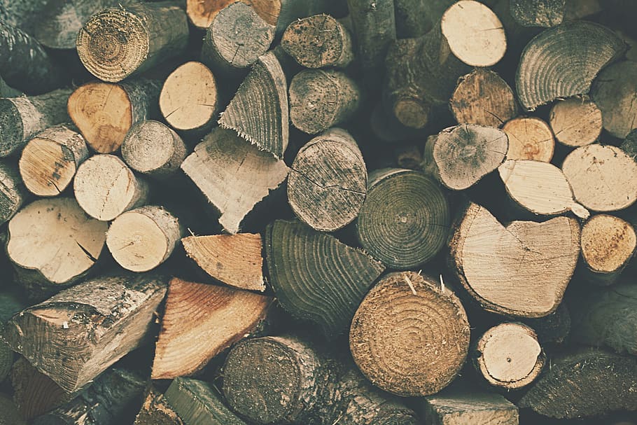 brown tree logs, timber, wood, firewood, large group of objects HD wallpaper