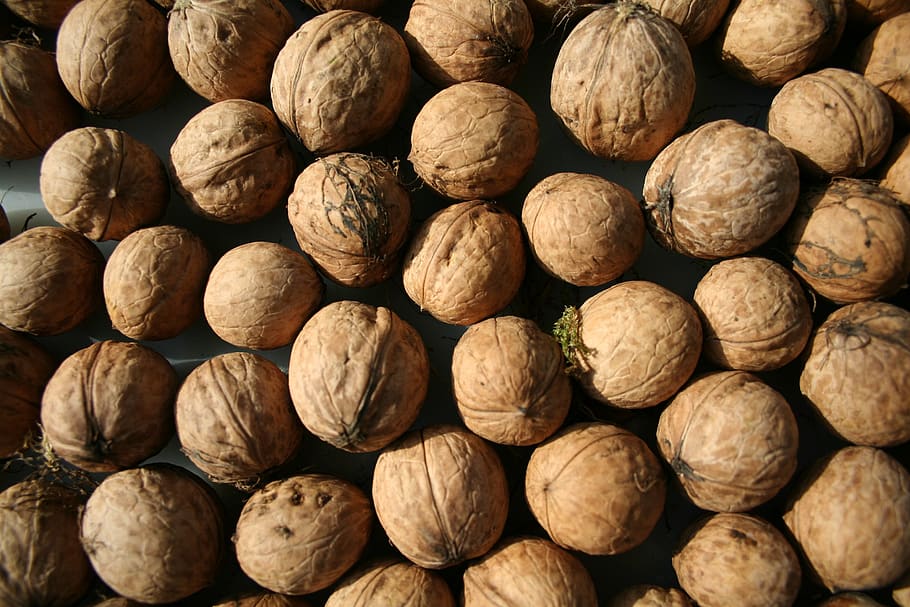 walnut, harvest, nuts, walnuts, shell, food, healthy, delicious HD wallpaper