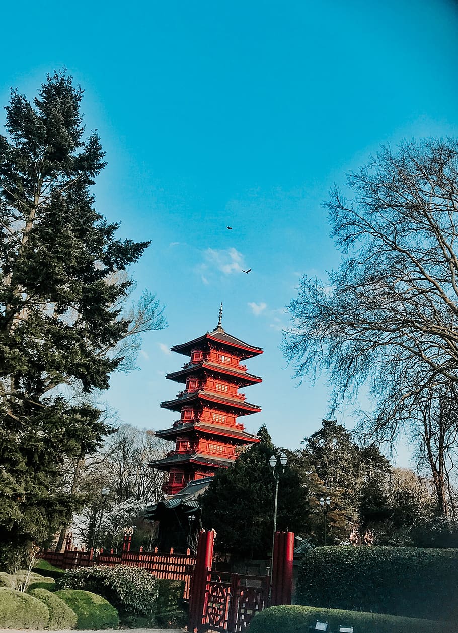 Asian Architecture, birds, building, color, daylight, daytime HD wallpaper