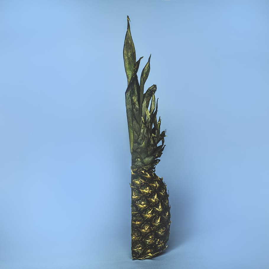 green pineapple, studio shot, no people, indoors, blue, plant part HD wallpaper
