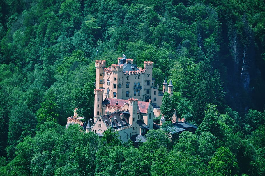 germany, forest, castle, tree, plant, architecture, built structure HD wallpaper
