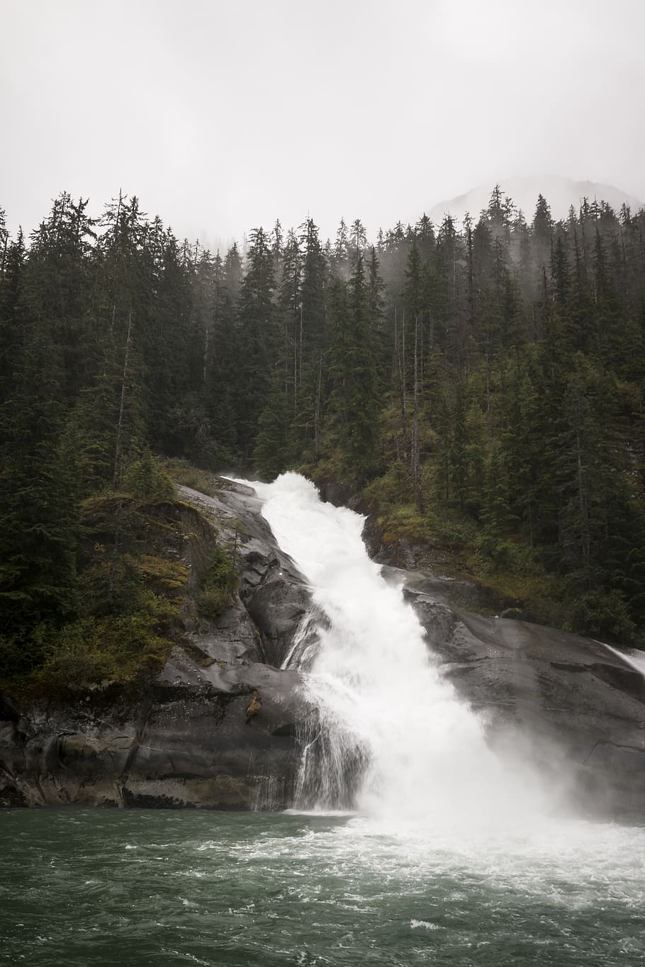 waterfall, falls, forest, trees, alaska, plant, beauty in nature HD wallpaper