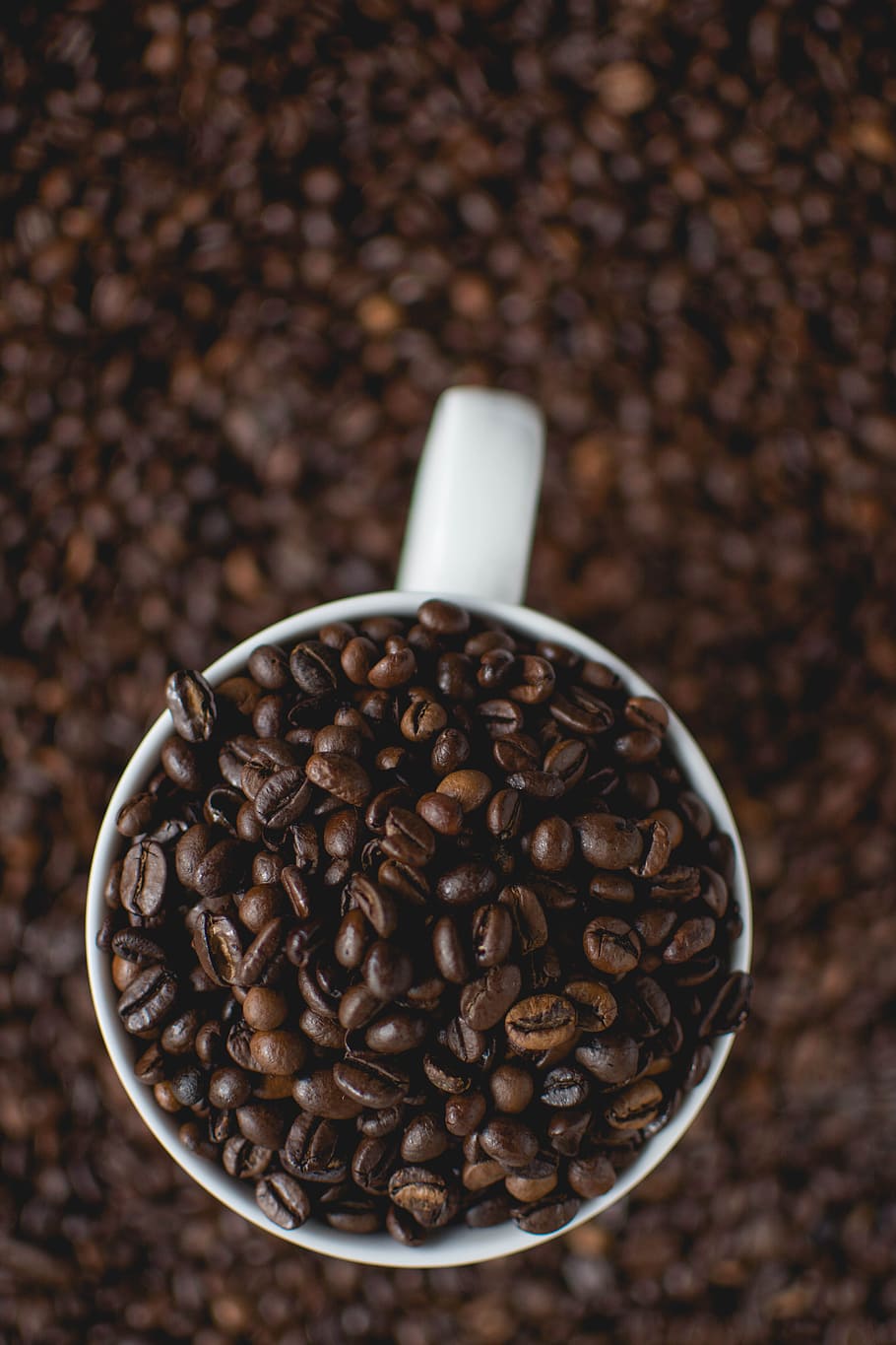 Cup Of Coffee Beans, caffeine, dark, mug, coffee - drink, roasted coffee bean HD wallpaper
