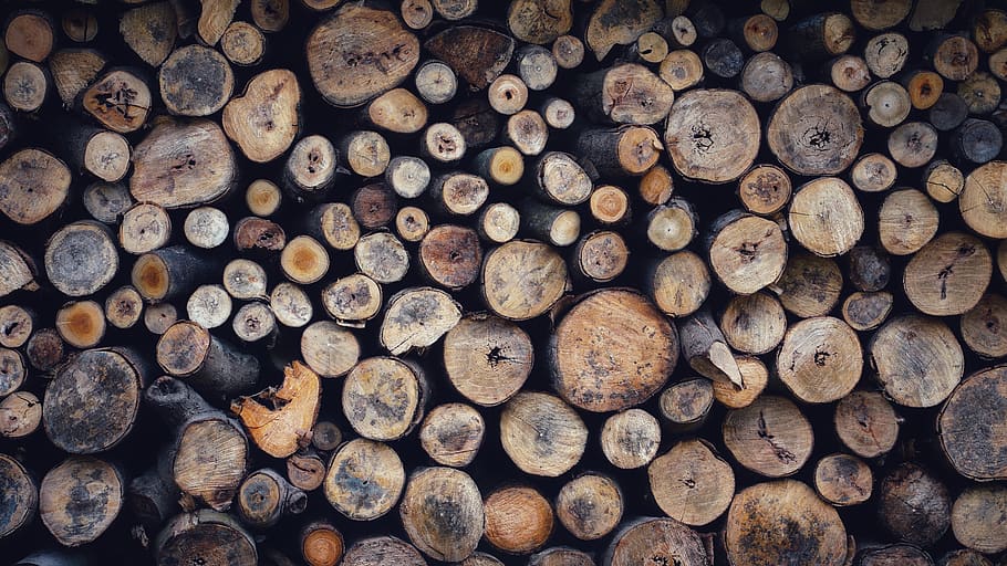 piled logs, large group of objects, stack, full frame, timber HD wallpaper