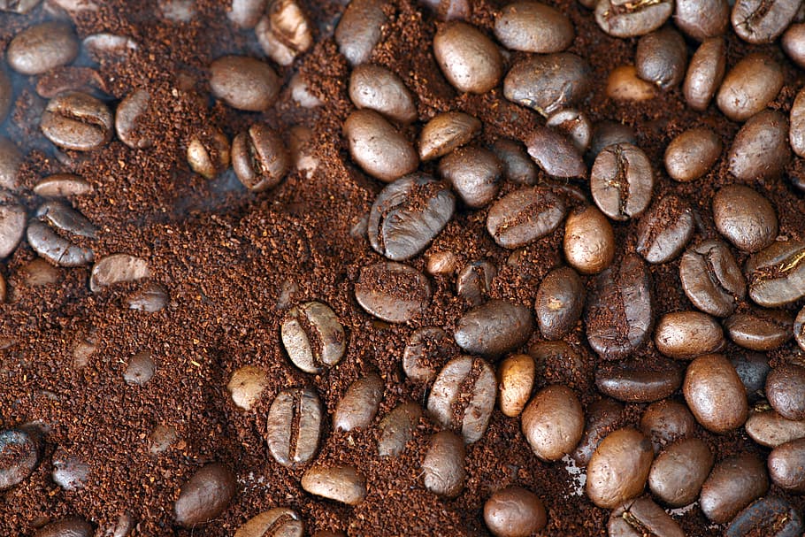 bean, background, macro, pattern, food, drink, dark, photography HD wallpaper
