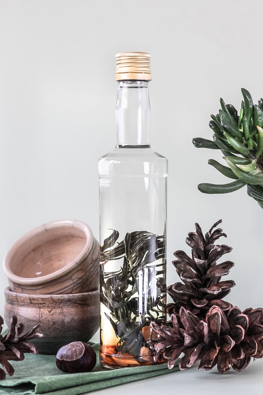 clear glass bottle, plant, serbia, pineapple, food, fruit, jar, HD wallpaper