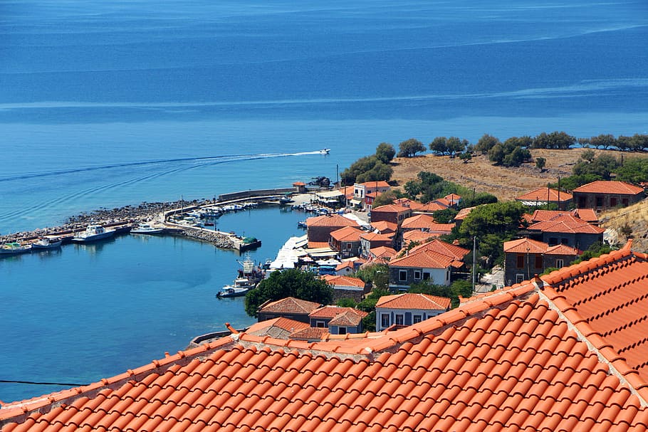 architecture, built structure, building exterior, water, roof HD wallpaper