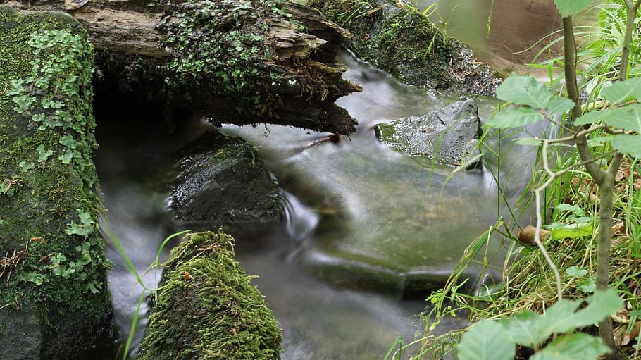 bach, water, landscape, river, creek, calming, wet, waters HD wallpaper
