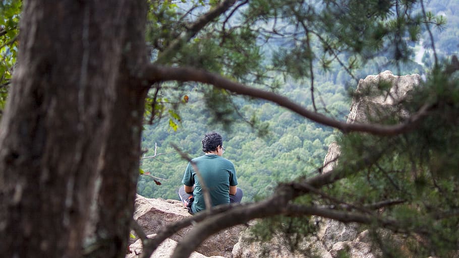 Man Sitting on the Stone, adventure, bark, branch, daylight, environment HD wallpaper