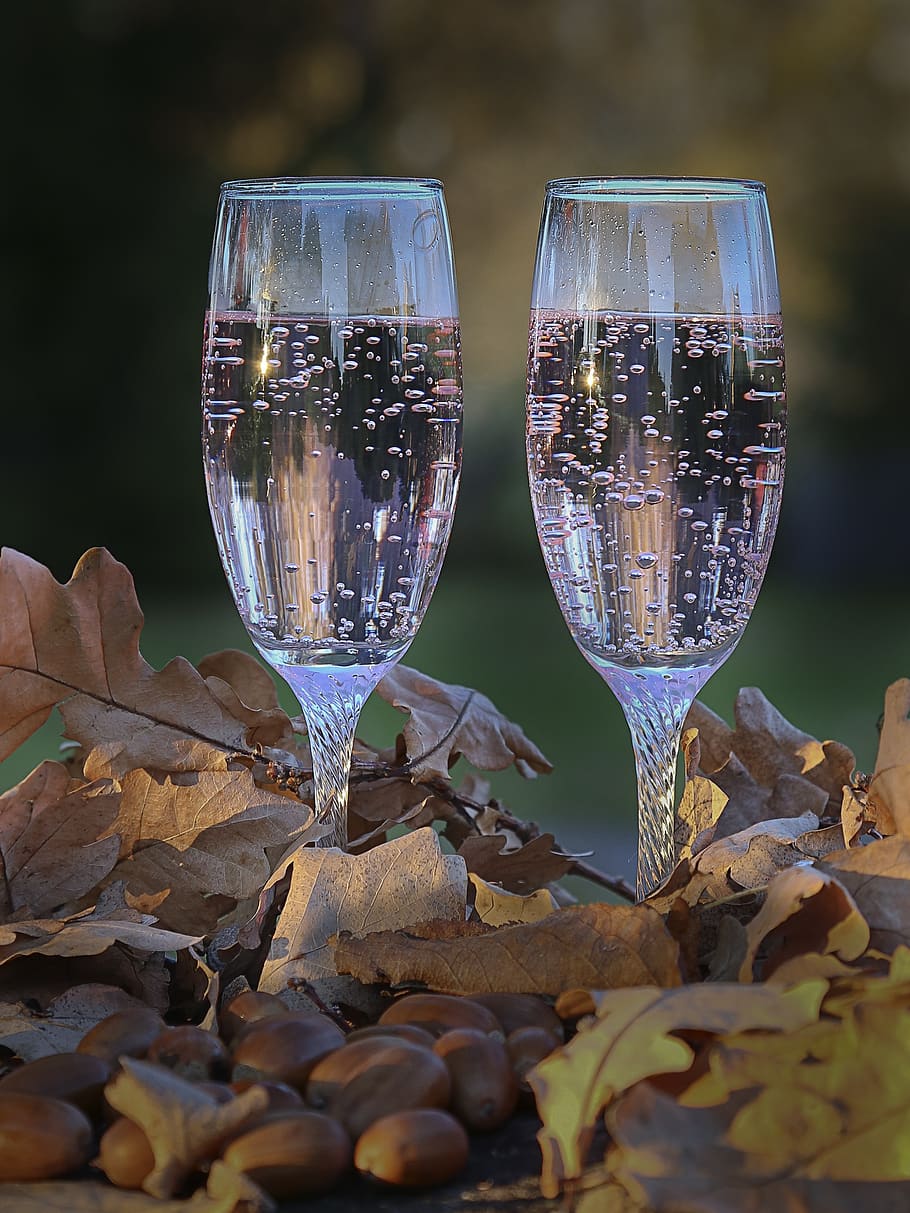 Two 3/4 Pink Liquid-filled Clear Champagne Flutes Surrounded With Dried Leaves and Brown Nuts, HD wallpaper