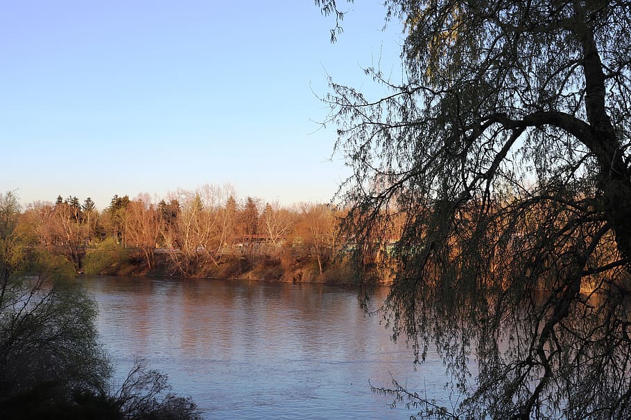 river, mures, arad, romania, water, landscape, nature, tree HD wallpaper