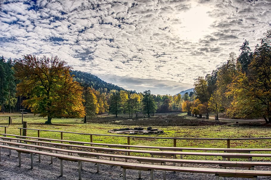 autumn, trees, sky clouds, mood, sun, backlighting, colorful HD wallpaper