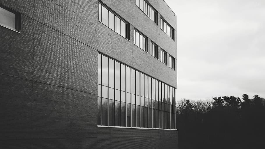 canada, architecture, windows, view, black and white, building HD wallpaper
