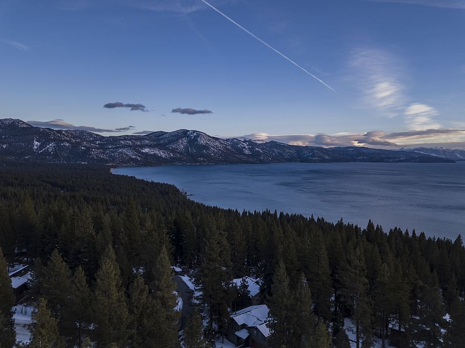 High Angle Shot of Trees, adventure, cold, dawn, daylight, evening HD wallpaper