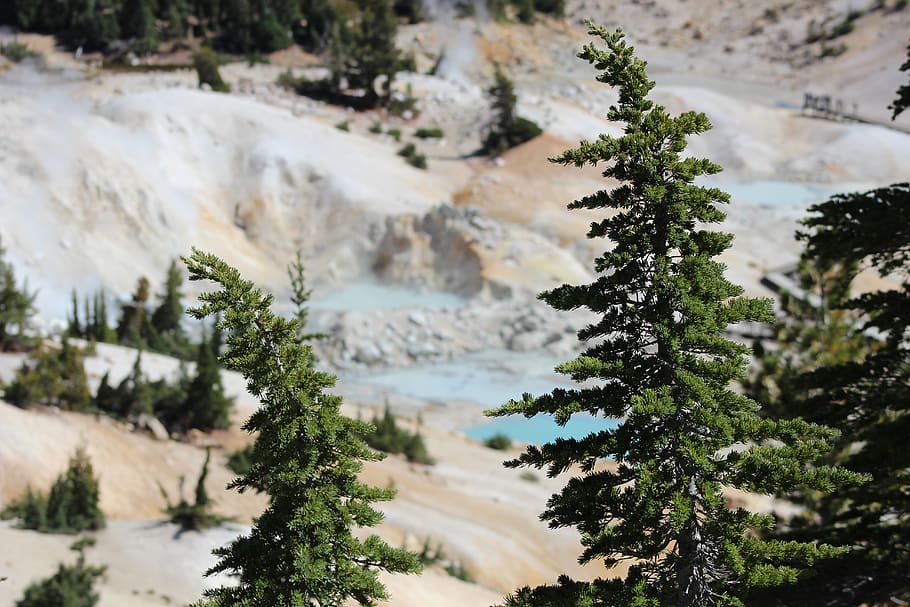 green trees on hills, explore, plant, conifer, flora, bumpass hell HD wallpaper