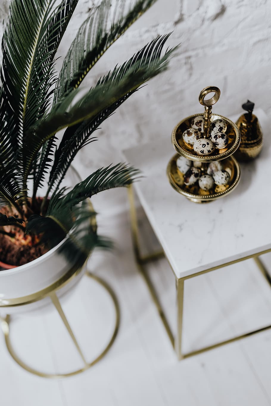 Quail eggs and white marble, easter, Un'common, uncommon, plant HD wallpaper