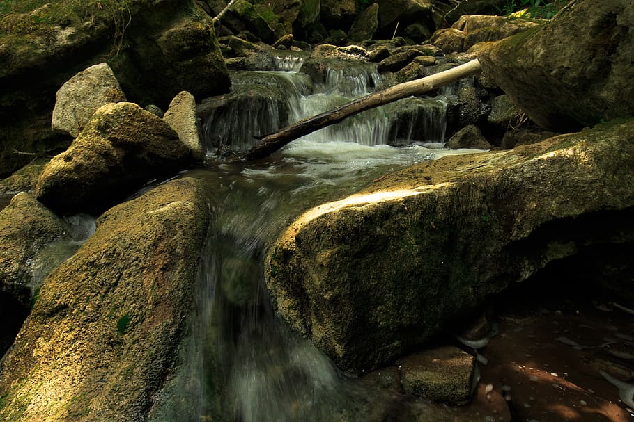 limehouse, canada, tint, moss, limestone, tress, tree, water HD wallpaper