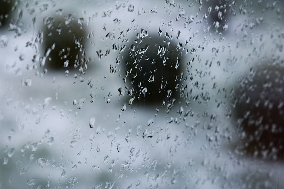 Shallow Focus Photography of Rain Droplets, blur, clear, close-up HD wallpaper