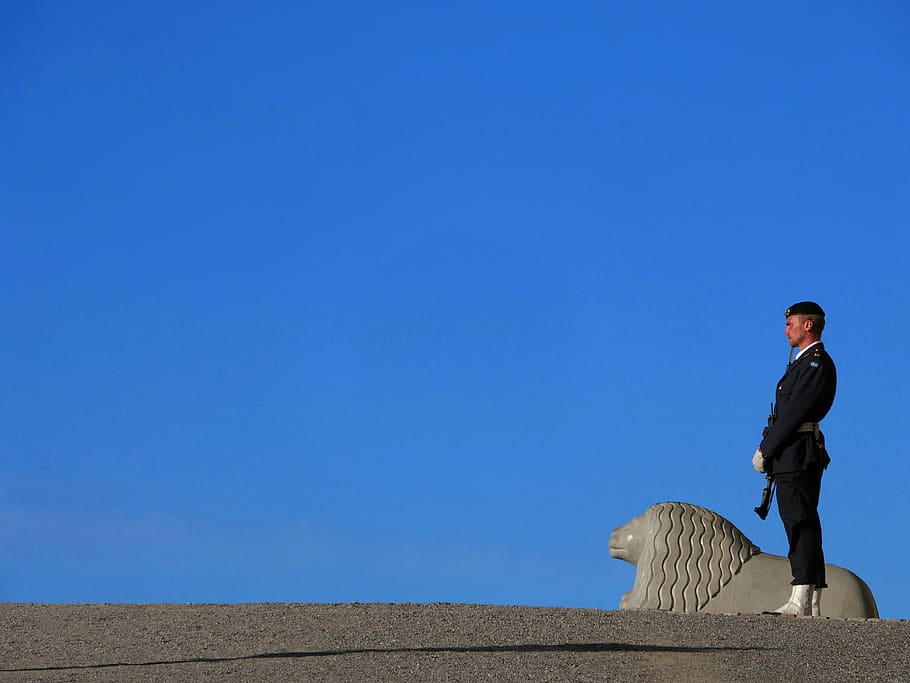 guard, standing, still, lion, palace, royal, stockholm, sky HD wallpaper