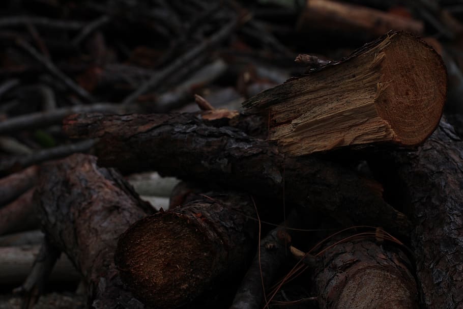 lena, wood, texture, fire, flame, embers, fireplace, forest HD wallpaper