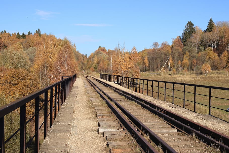 autumn, rails, forest, sky, shadow, blue, moscow region, plants HD wallpaper
