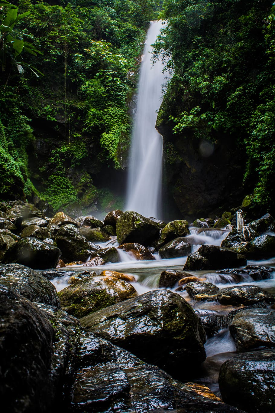 waterfall, forest, rock, tree, plant, flowing water, long exposure HD wallpaper