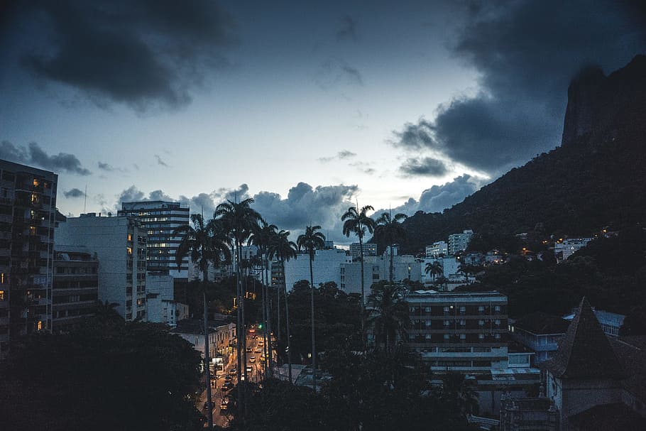 white concrete buildings, sky, light, road, palm tree, cityscape HD wallpaper
