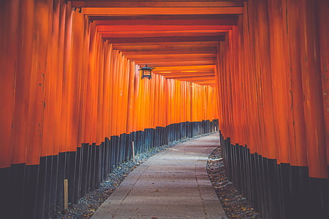 Hallway in Blue and Orange Wall Paint, architecture, art, bright HD wallpaper