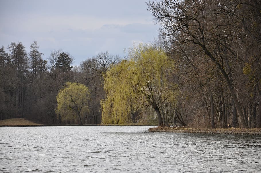 nature, landscape, forest, sky, water, lake, green, trees, park HD wallpaper