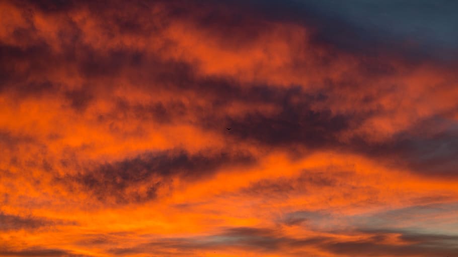 turkey, istanbul, bird, dark, red, orange, fiery, dusk, dawn HD wallpaper