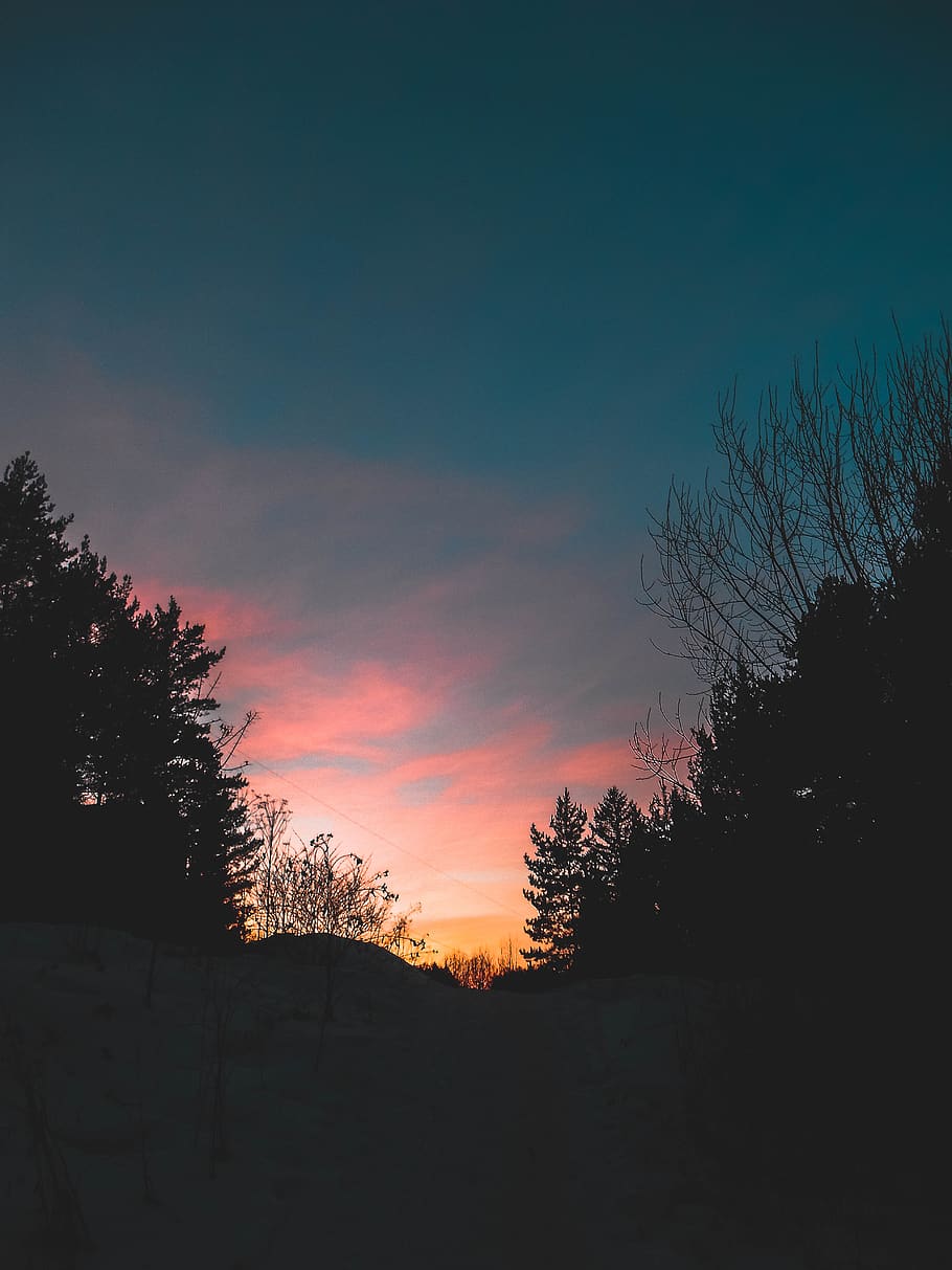 forest, sky, clouds, sunset, trees, silhouette, scenics - nature HD wallpaper