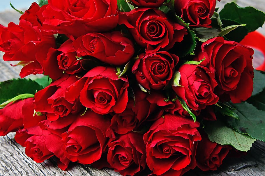 1082x1922px Free Download Hd Wallpaper Red Rose Red Rose Bouquet Valentine S Valentine S Day Love Wallpaper Flare